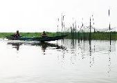 Foto: Cilts sievietes un saldūdens delfīnu meklējumi Borneo